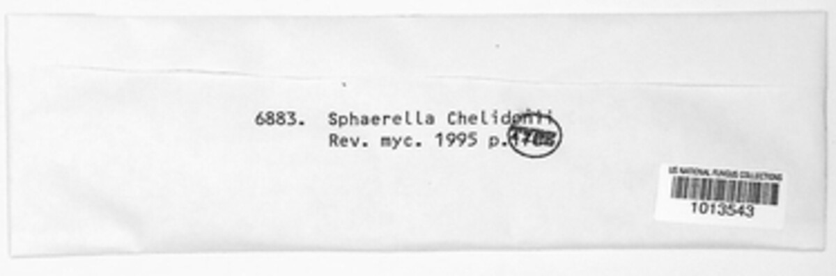 Mycosphaerella chelidonii image